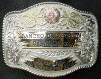 Gold and Silver Buckle